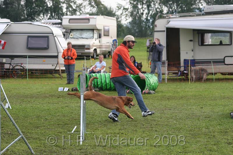 jubil.lusten3 076.jpg